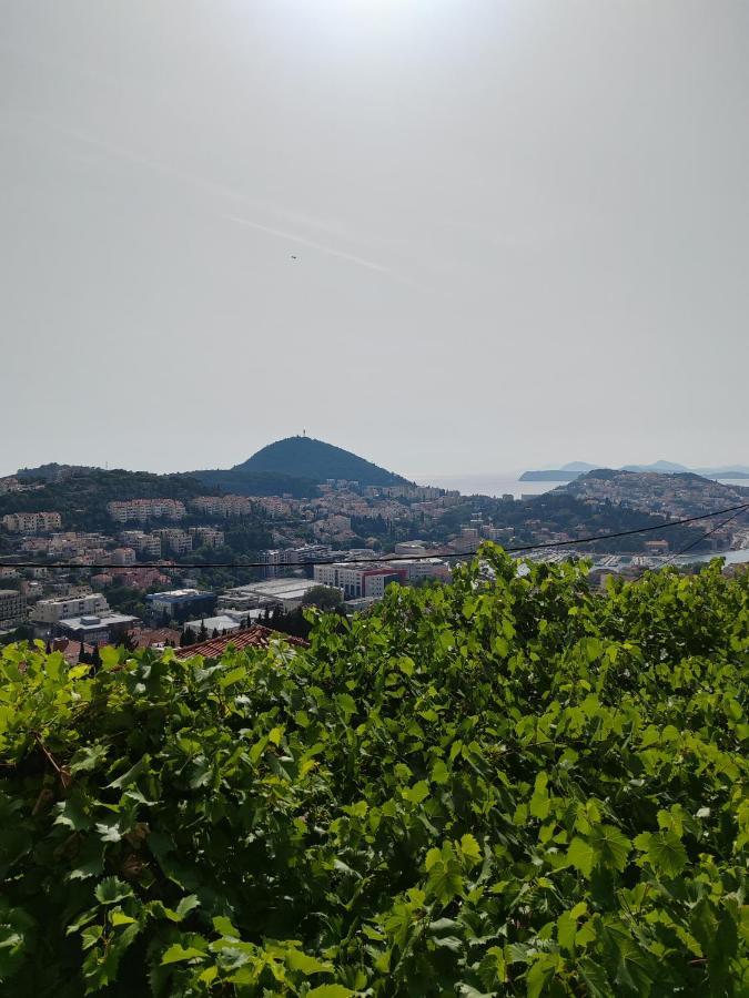 Apartment Mediterranean Vista Dubrovnik