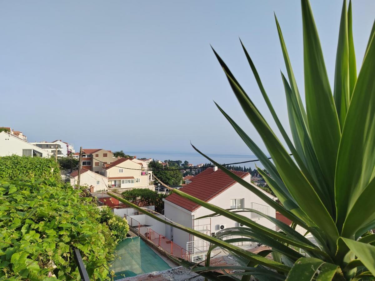 Apartment Mediterranean Vista *